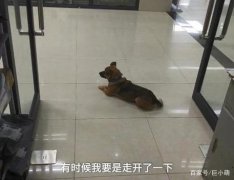 �����µ�С���x�_����