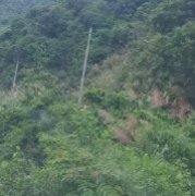 С��Ȯ�۽���ʲôԭ��