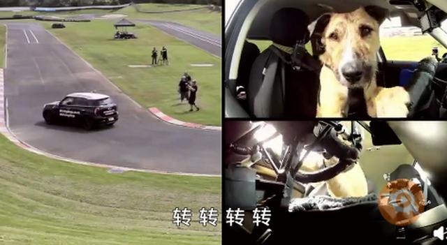 С��8�����ڌW���_܇�������m3ֻС�������һ���{�܇�v �ԹϾW�Ѳ�������