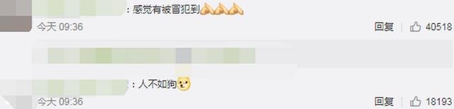 С��8�����ڌW���_܇�������m3ֻС�������һ���{�܇�v �ԹϾW�Ѳ�������