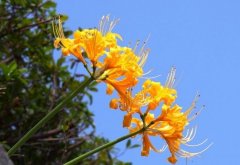 ����yԇ���xһ������