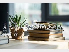 �ͳ�����2�ӰƱ,��