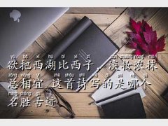 ���y��Ĩ������������