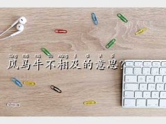 �L�Rţ����,�L�Rţ��