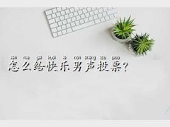 �옷��ͶƱ,��ô�o