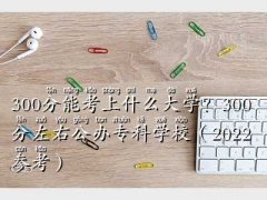 300�ֵĴ�W(xu��),300����